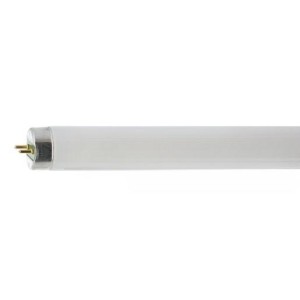 Лампа люмінесцентна TLD 18W/840 Philips