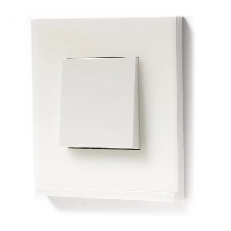 Горизонтальная однопостовая рамка Schneider Electric NU600289 (матовое стекло/белый) отзывы - изображение 5