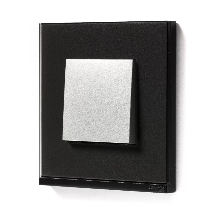 Горизонтальная однопостовая рамка Schneider Electric NU600286 (черное стекло/антрацит) отзывы - изображение 5