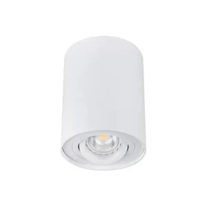 Накладной светильник Down Light KANLUX BORD DLP-50-W (22551) белый
