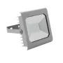 Світлодіодний прожектор KANLUX ANTRA LED50W-NW GR (25585) сірий