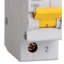 Автоматичний вимикач IEK ВА47-100 1Р з 100А 10кА