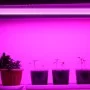 Лінійний світлодіодний світильник для рослин Feron AL7001 14W