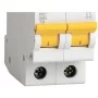 Автоматический выключатель IEK ВА47-29 2P 63A 4,5кА «B» (MVA20-2-063-B)