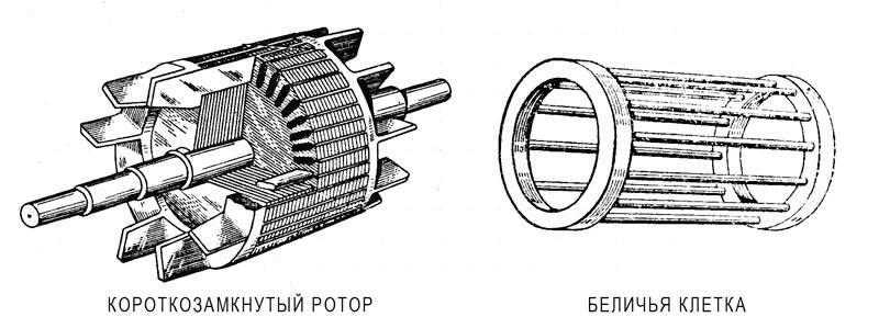 обмотка короткозамкнутый ротор 